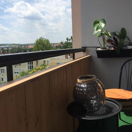 Deli Oldal Vendeghaz Apartment เอ็กเกอร์ ภายนอก รูปภาพ
